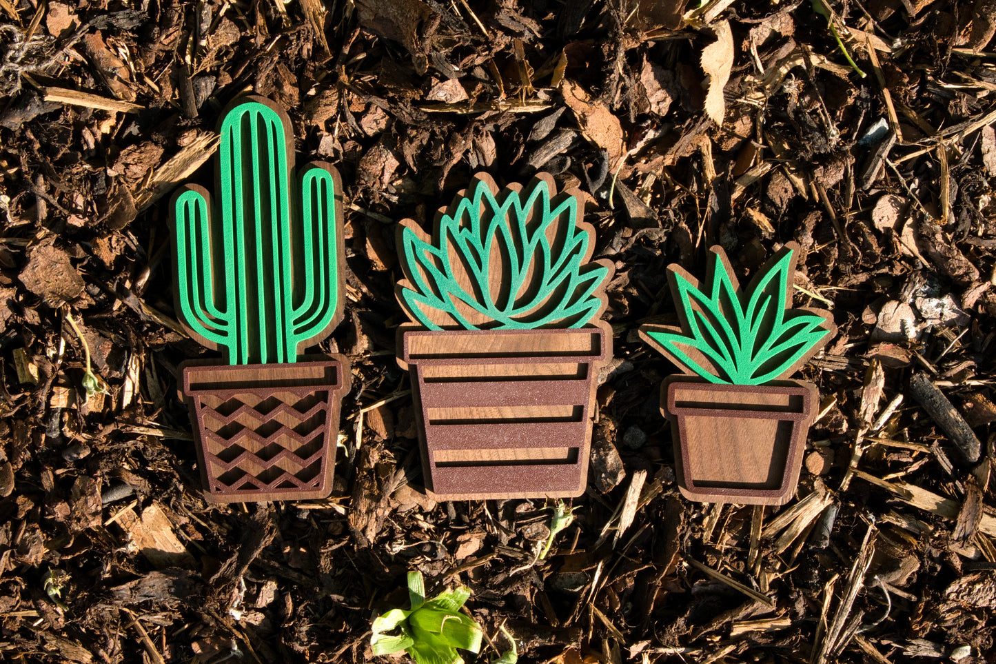Deko-Kakteen 3er-Set