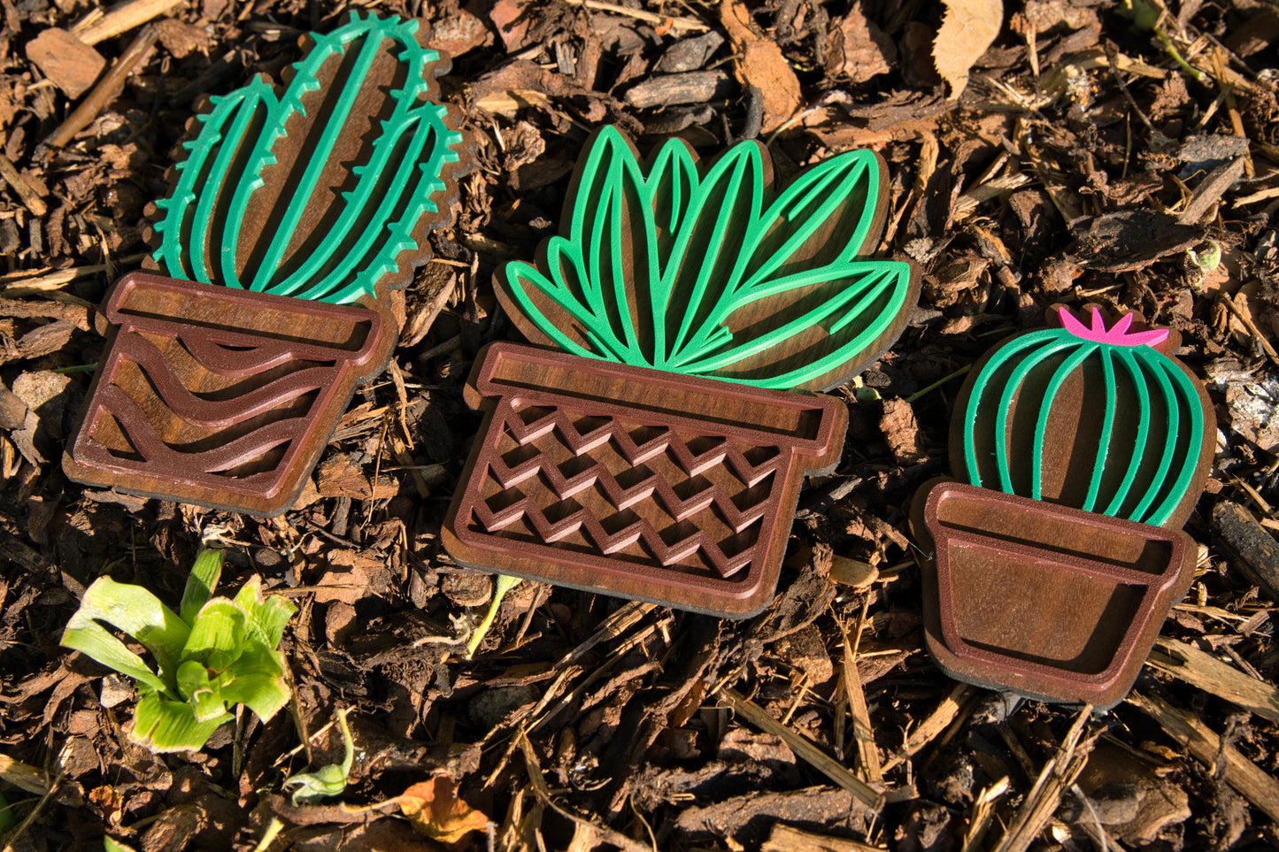 Deko-Kakteen 3er-Set