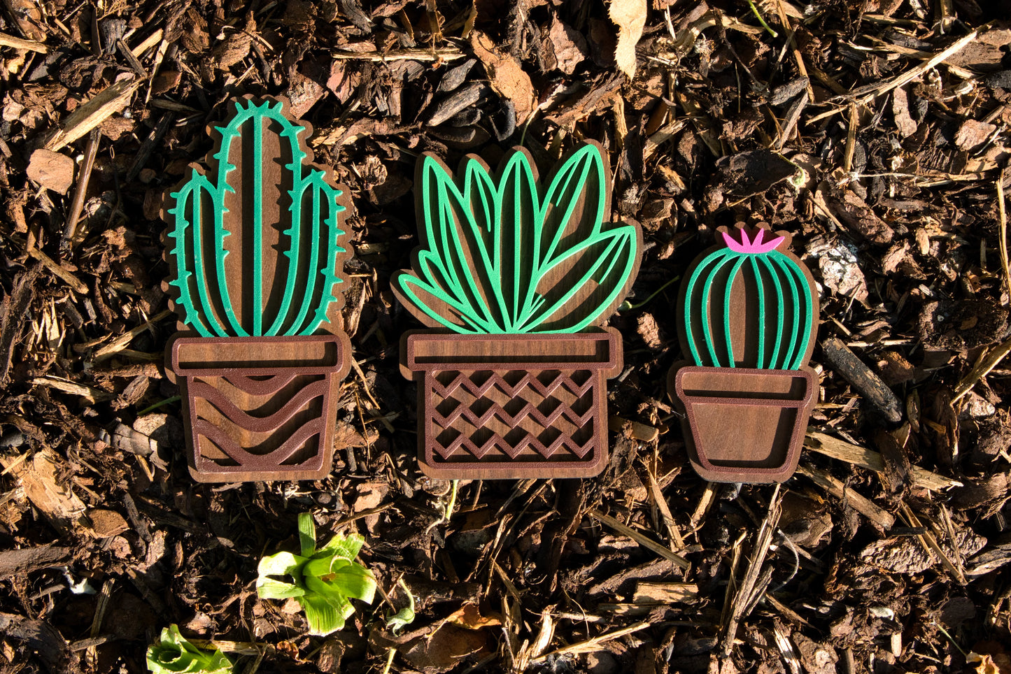 Deko-Kakteen 3er-Set