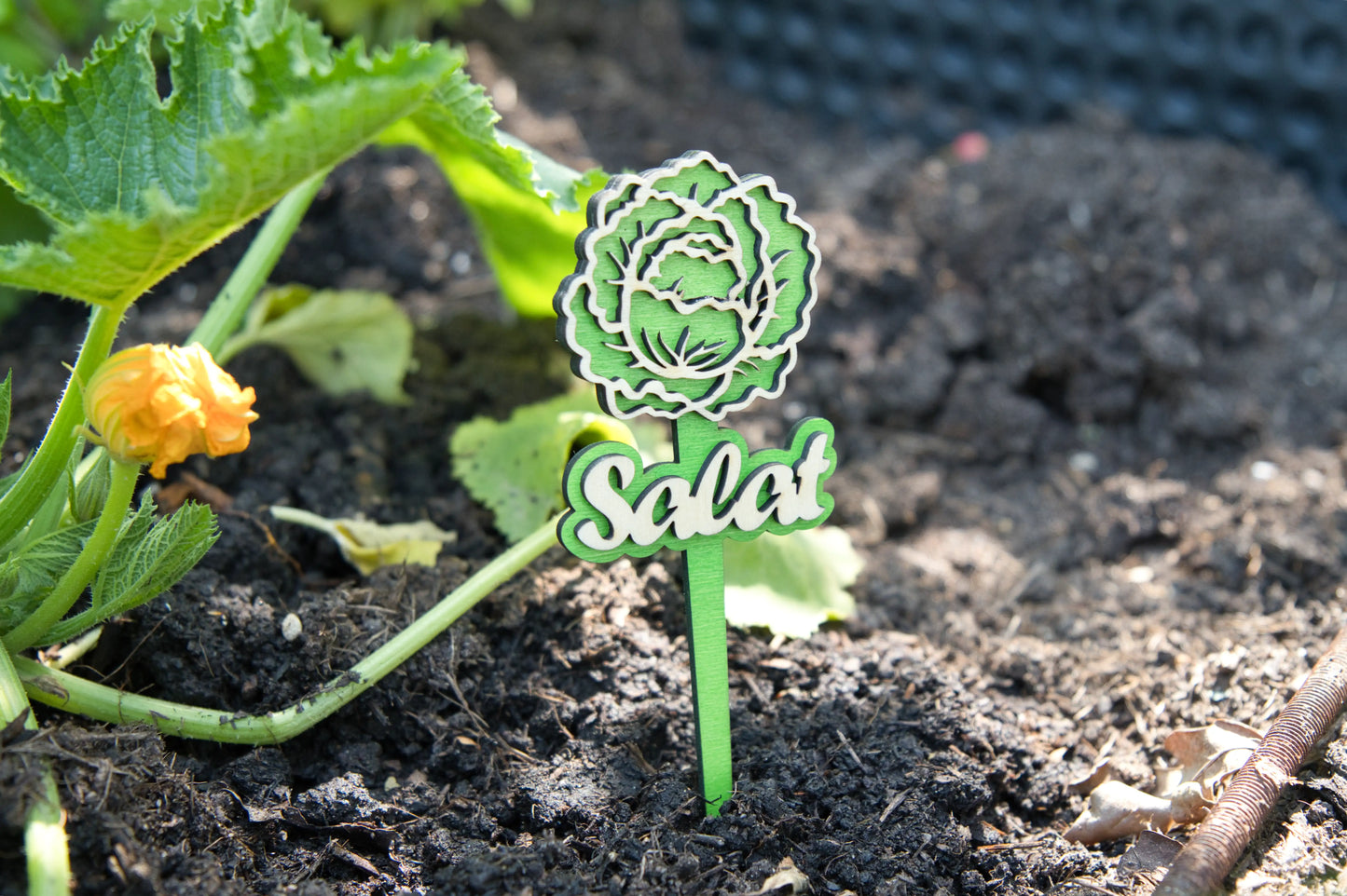 Gemüsebeet-Schilder